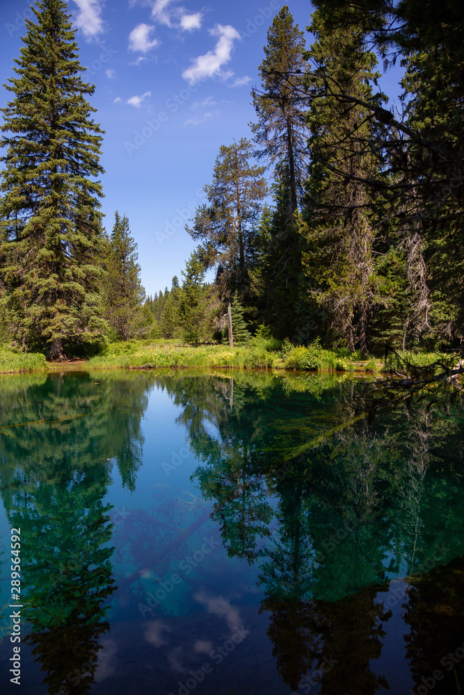 Beautiful View of Little Crater Lake during a vibrant sunny summer day. Taken in Mt Hood National Forest, Oregon, United States of America. Beautiful View of Little Crater Lake during a vibrant sunny summer day. Taken in Mt Hood National Forest, Oregon, United States of America.