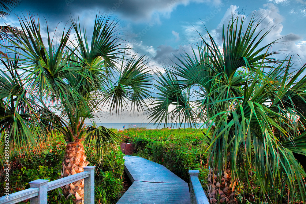 Fototapeta premium Path To The Beach