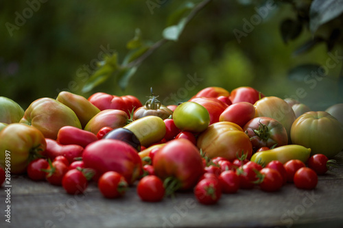  Tomatoes in assortment lie on a wooden table in open space