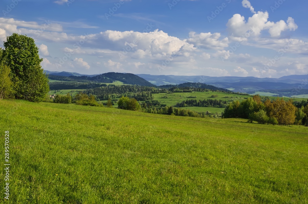 Beautiful mountain spring landscape. Picturesque valley and green hills.