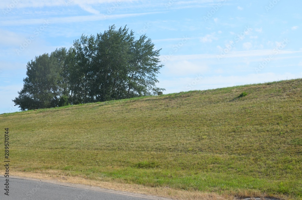 Grün bewachsener Ostseedeich unter blauem Himmel mit Wolken im Gegenlicht