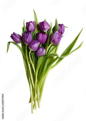 An image of a bouquet of nine tulips as an isolated object
