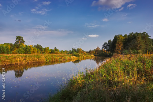 Autumn landscape on the banks of a forest river on a sunny warm day.