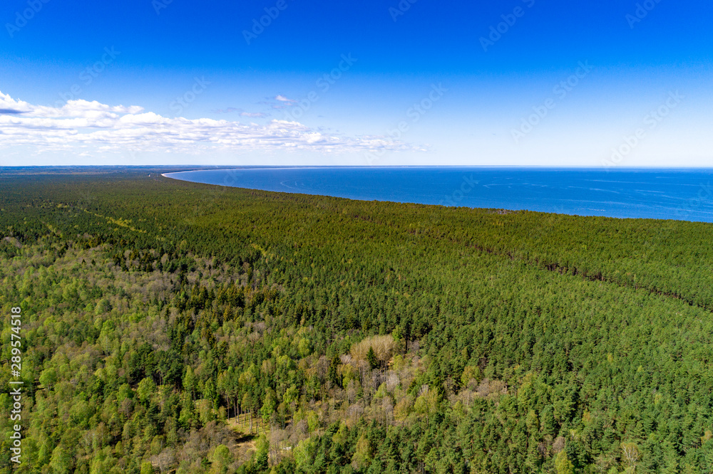 Bright summer day at the seaside with green forest.