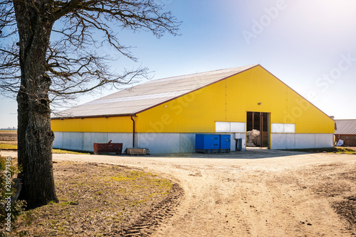 Modern Yellow colour dairy cow farm.