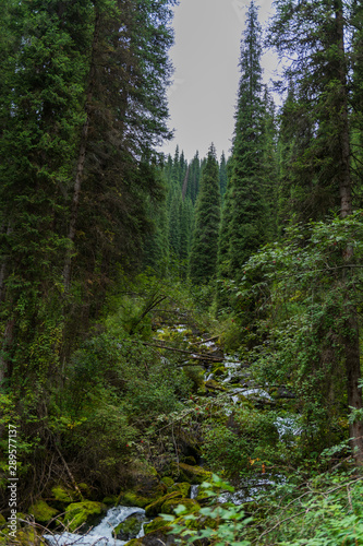 A small river in the forest in summer © Alexey Seafarer