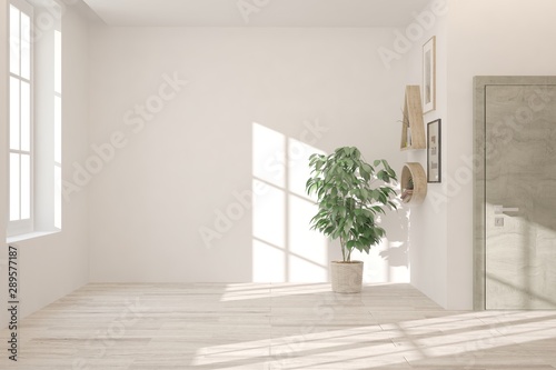 Empty room in white color. Scandinavian interior design. 3D illustration