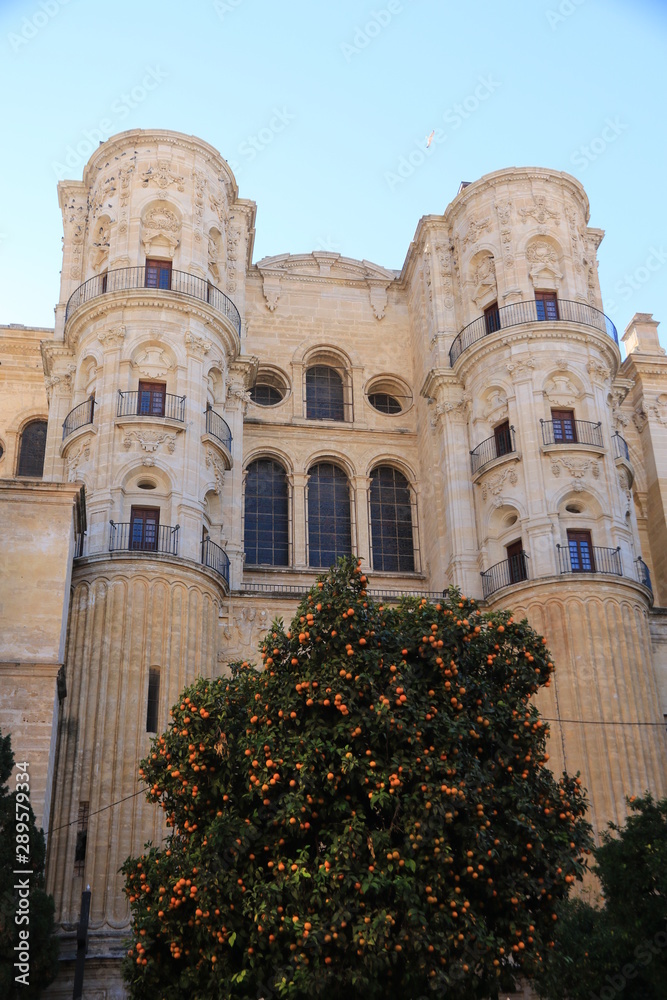 Naklejka premium Cathedral of Malaga, Spain