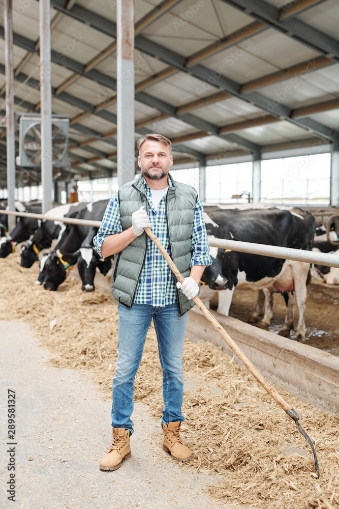 Young successful farmer with hayfork working by cowshed