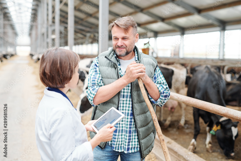 Happy farmer with hayfork looking at colleague with tablet during conversation