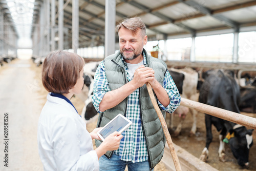 Happy farmer with hayfork looking at colleague with tablet during conversation