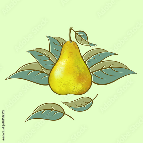 Pear illustration. Pear with leaves on a light background. Original vector illustration.