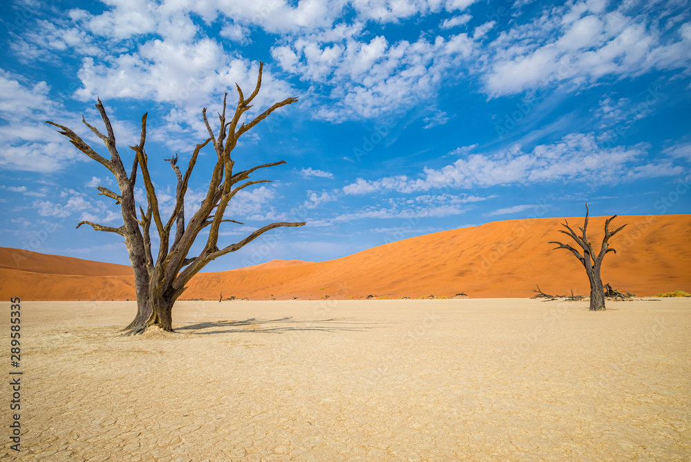 Deadvlei desert in Namibia