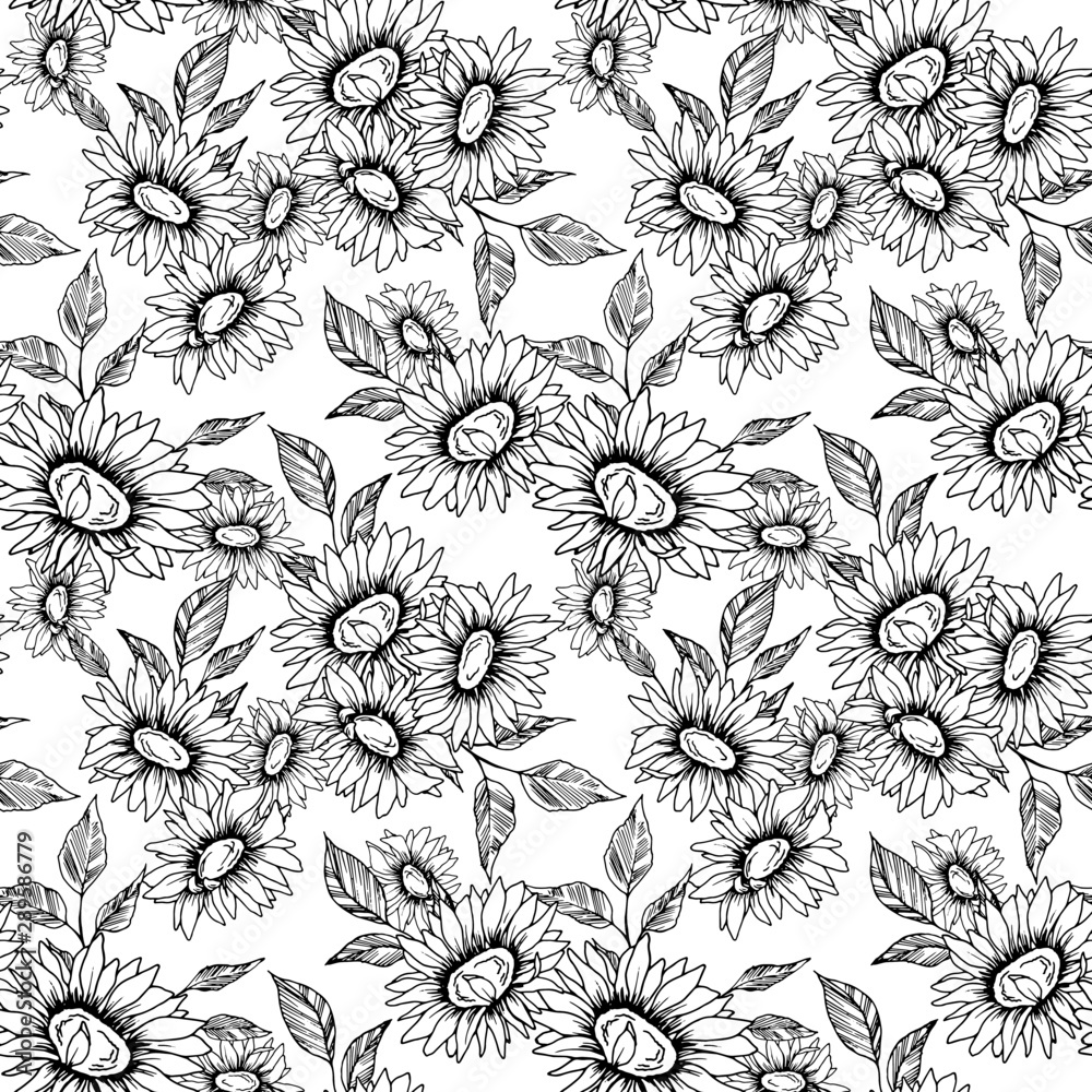 seamless pattern with chamomile, drawing in black and white seamless pattern with chamomile, drawing in black and white
