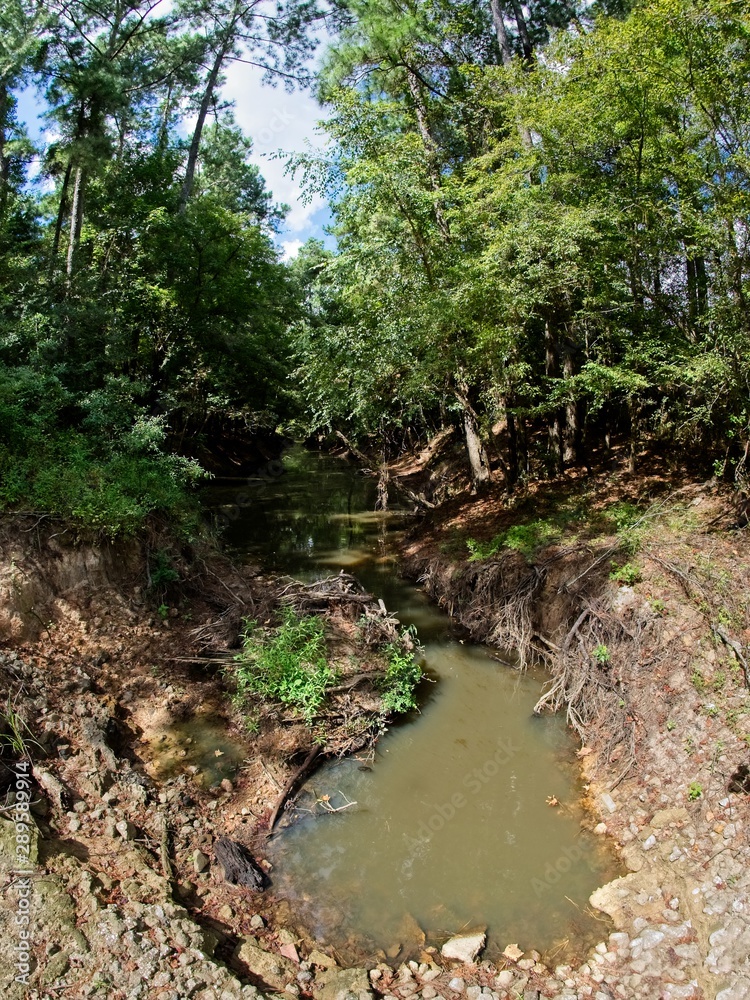 Obraz premium Creek Drying Up with No Flow