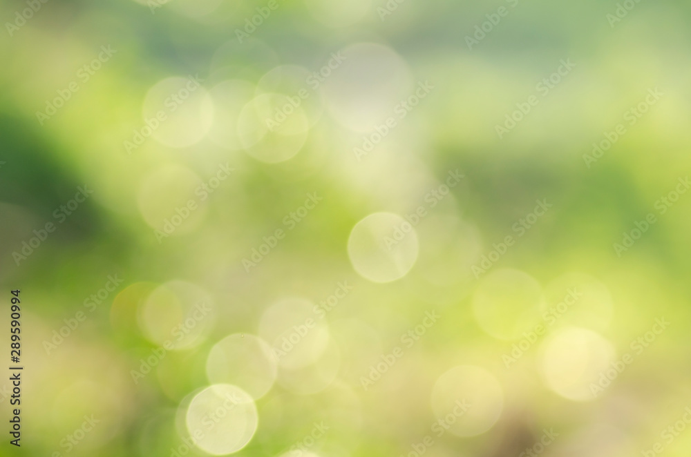 Green background, blurred bokeh and sunlight Green background, blurred bokeh and sunlight