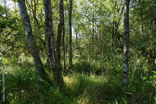 In der Aalbeek-Niederung