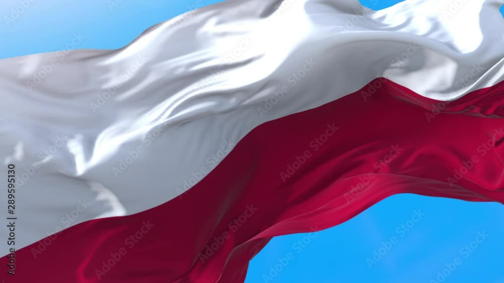 Poland flag video waving in wind 4K. Realistic Polish or Deutsche background. Poland background looping 3840x2160 px. Poland flag video waving in wind 4K. Realistic Polish or Deutsche background. Poland background looping 3840x2160 px.