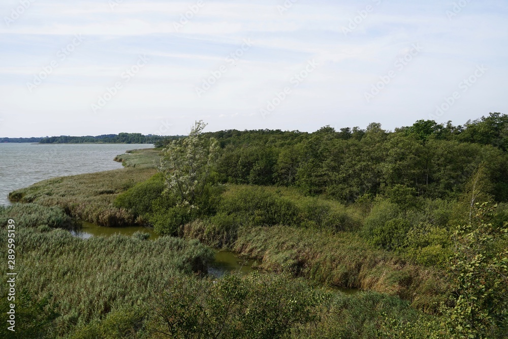Ufer des Hemmelsdorfer Sees mit dem Abfluss der Aalbeek