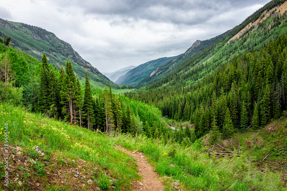 Meadow valley view on Conundrum Creek Trail in Aspen, Colorado in 2019 summer with green lush plants on cloudy day and dirt road