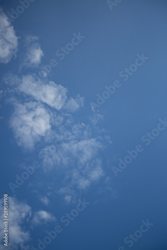 plane in sky