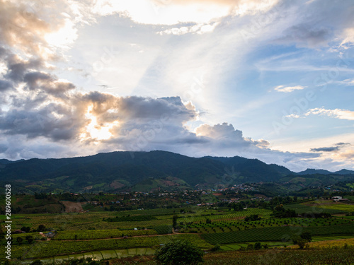 Aerial view of rice paddies farm and vegetables farm in rural Thailand.