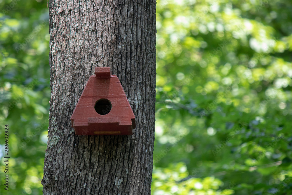 Handmade bird house hanging on the tree on the right side of the photo. Handmade bird house hanging on the tree on the right side of the photo.