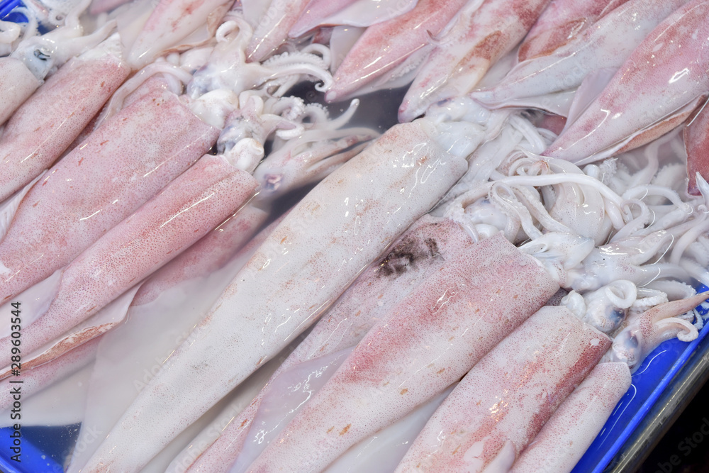 White raw squid seafood in fresh market.