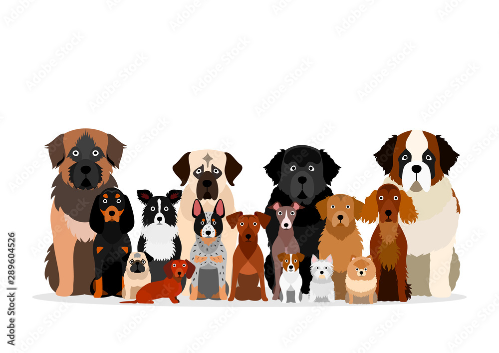 large group of various breeds dogs Stock Vector Adobe Stock