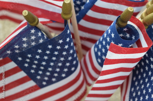 American Flags photo