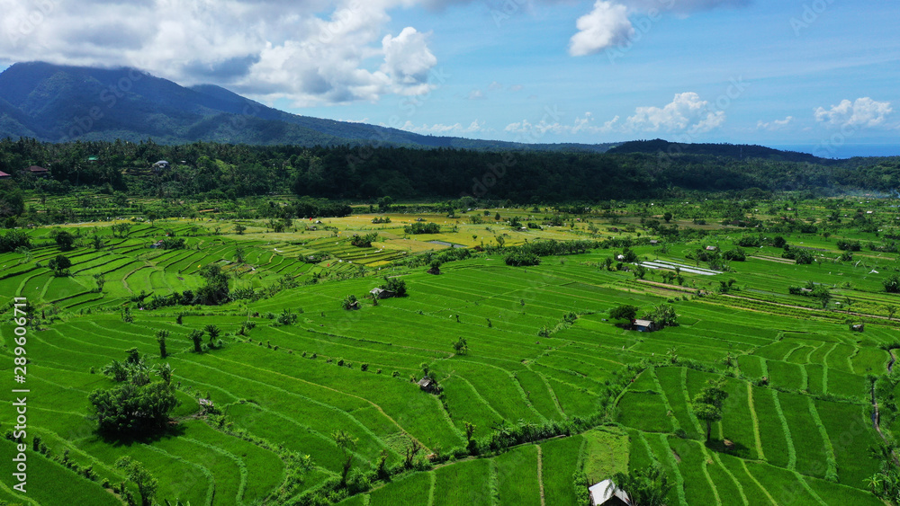 Beautiful view of rice fields near Tirtagangga water palace, East Bali.