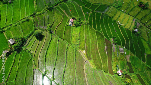 Beautiful aerial view of rice terraces, Abang village, East Bali. photo