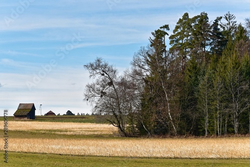 Baden-Württemberg - Simmersfeld - Umland photo