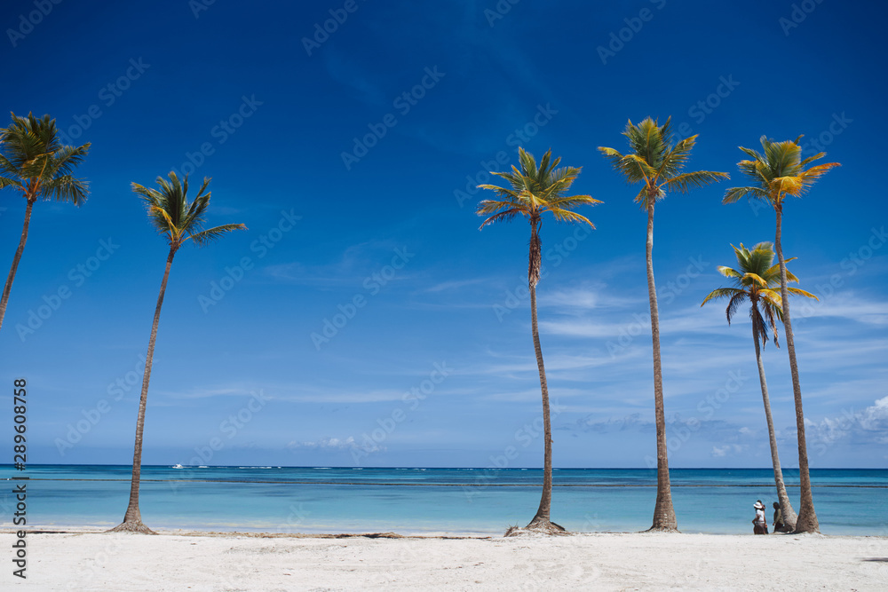 Obraz premium tropical beach with palm trees