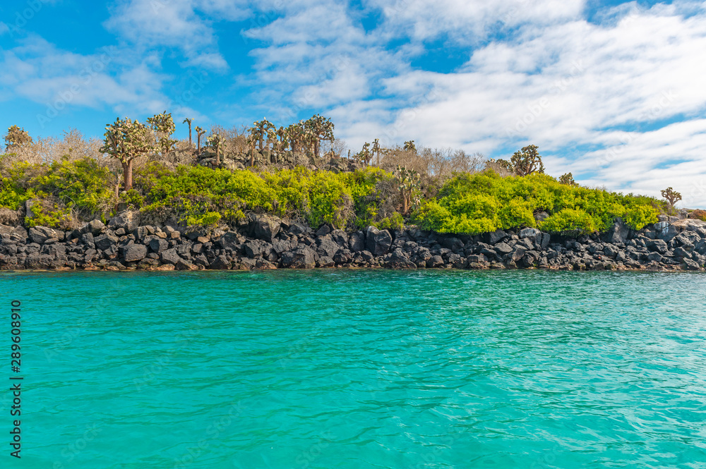 Landscape of the Galapagos Islands national park with turquoise blue waters of the Pacific Ocean and Opuntia cactus, Ecuador.