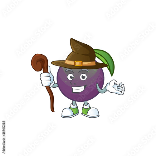 Witch star apple fruit shape character mascot.