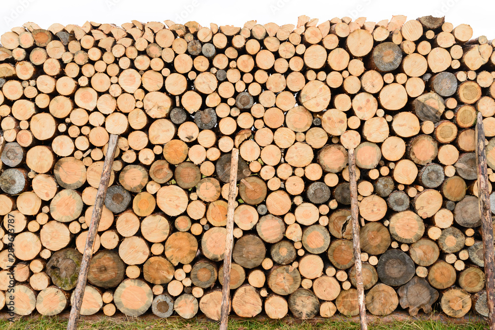 photo firewood