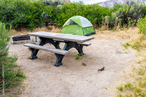 Campsite with tent and picnic table with grill on Green River Camground in Dinosaur National Monument Park with ground squirrels photo