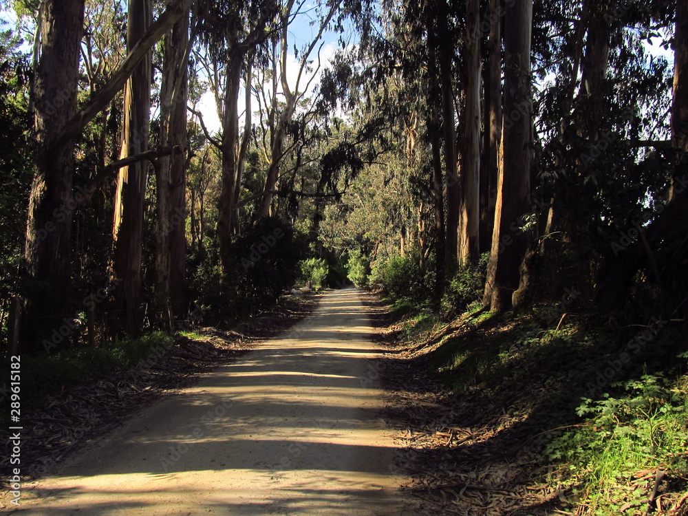 Obraz premium rural road in Chanco, Chili