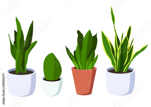 air purification green leaves trees in pots fresh on white background illustration vector