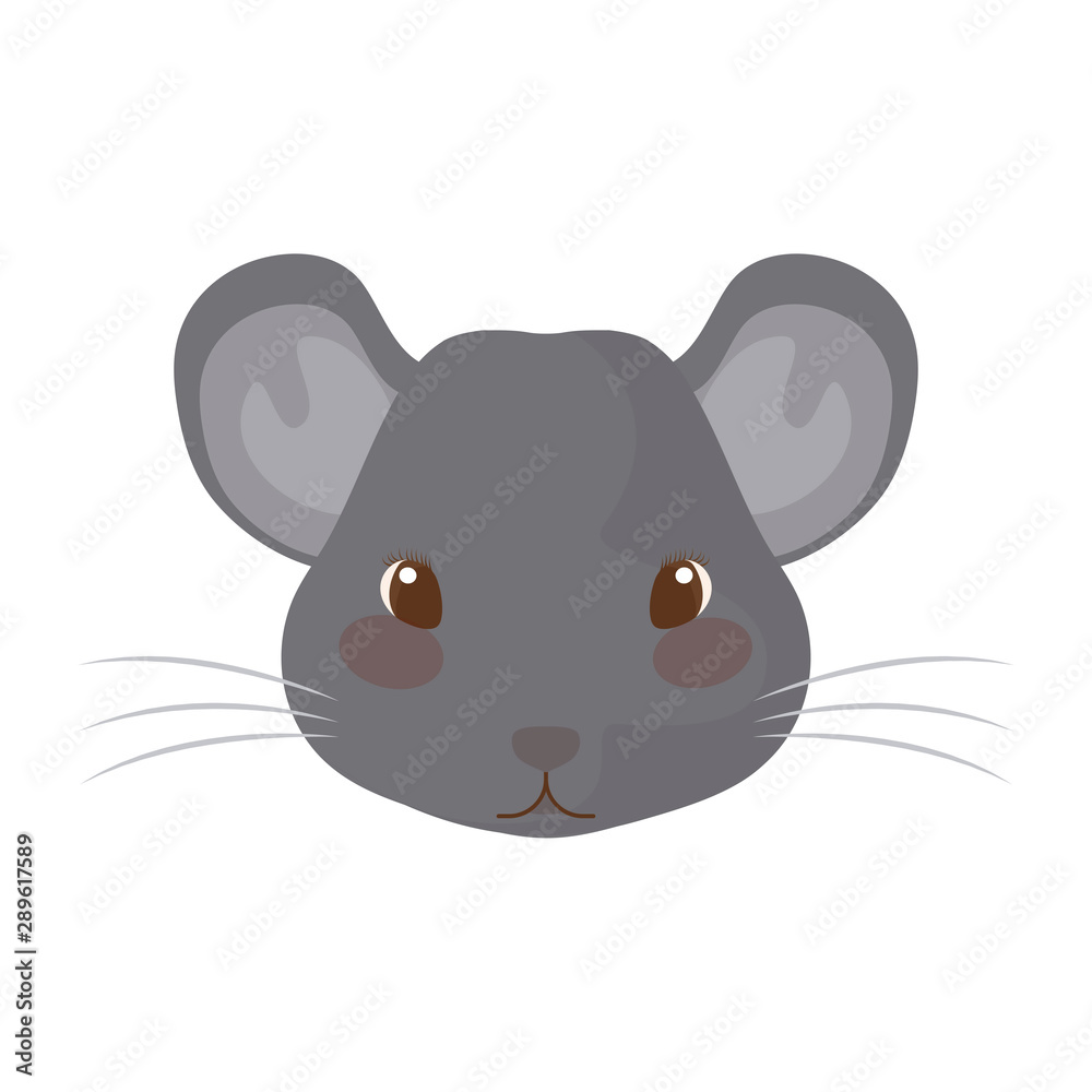 head of cute mouse with white background head of cute mouse with white background