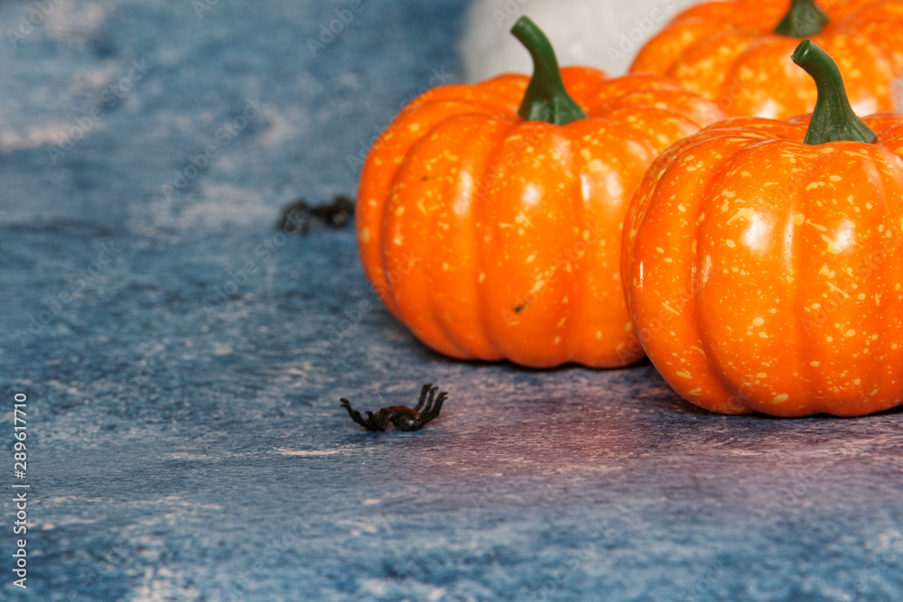 Obraz premium pumpkins witpumpkins with spiders on blue concreteh spiders on blue concrete