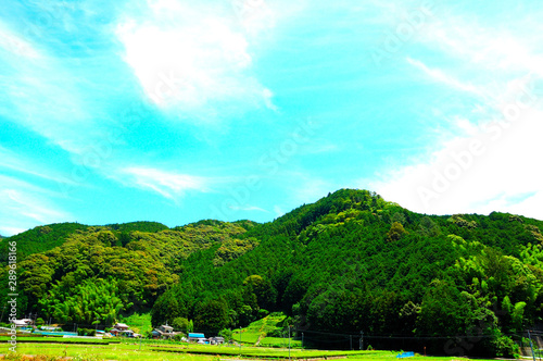 静岡市の里山風景