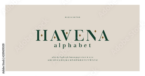 Elegant alphabet letters serif font and number. Classic Lettering Minimal Fashion. Typography fonts regular uppercase, lowercase and numbers. vector illustration