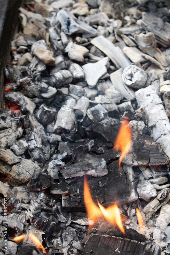 raw potato baked in hot charcoal, nobody raw potato baked in hot charcoal, nobody
