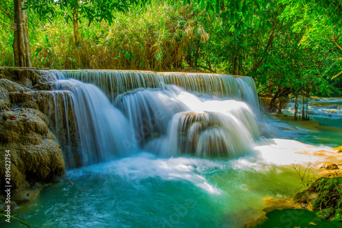 Fototapeta Naklejka Na Ścianę i Meble -  Tad Kwang Sri Waterfall , Luang Prabang Province Laos these waterfalls are a favorite side trip for tourists in Luang Prabang. The falls begin in shallow pools atop a steep hillside.  P