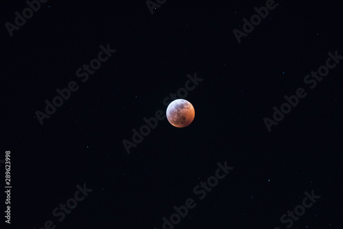 red full moon in the sky © Alisa