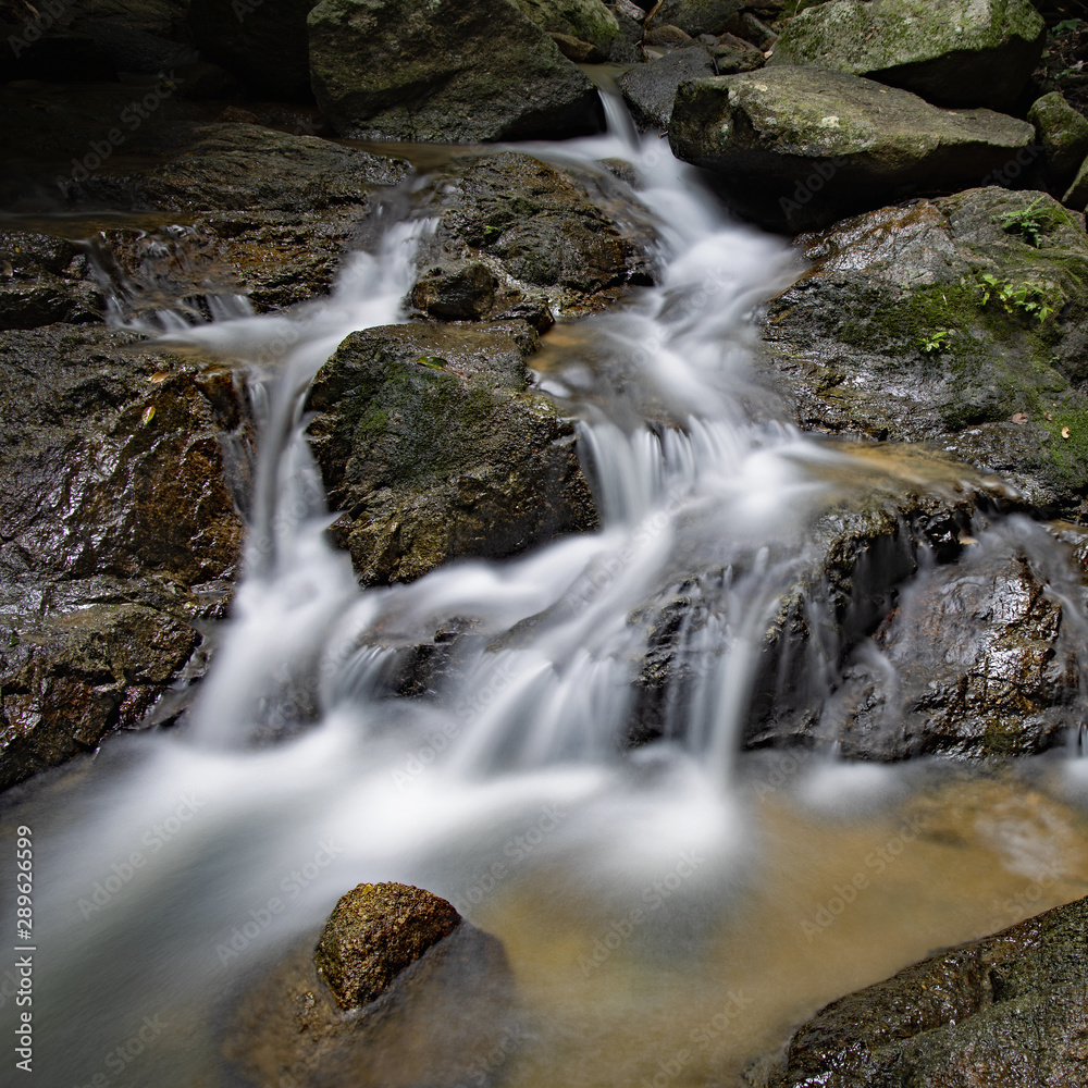 nature wildlife waterfall Kathu nature wildlife waterfall Kathu