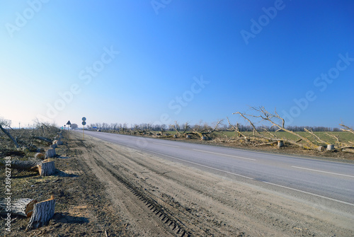 Trees felled along the route