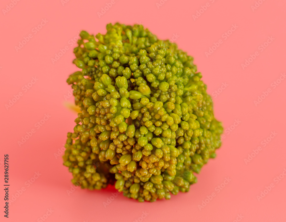 Broccoli cabbage on a pink background